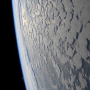 Meet your Posher, Rick